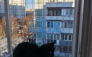 фотография решетки антикошка № 57