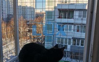 фотография решетки антикошка № 60